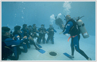 Veracruz Adventuras, servicios y cursos de Buceo - A scuba diving service en Veracruz Mexico
